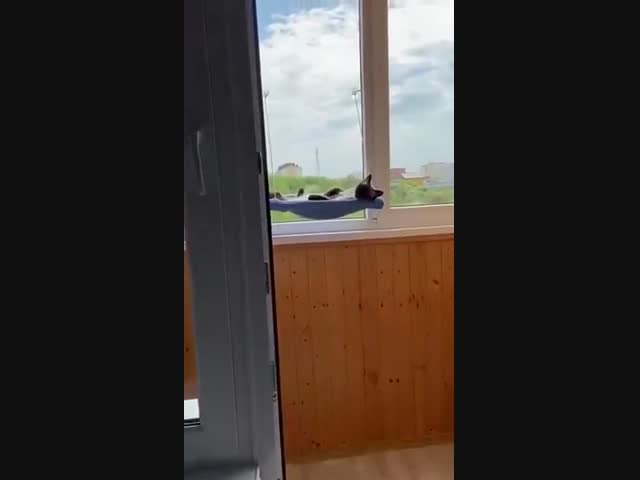 Вот так мы отдыхаем!