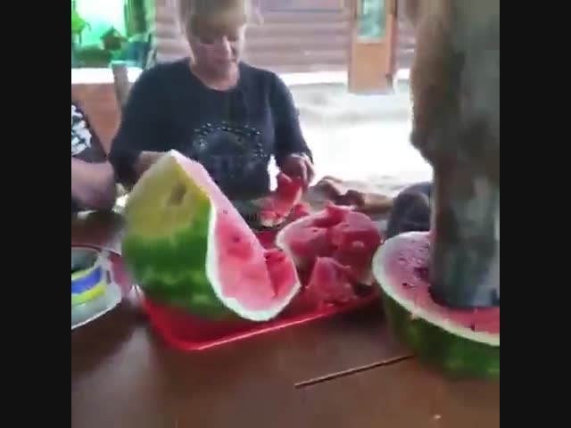 Какая странная собачка