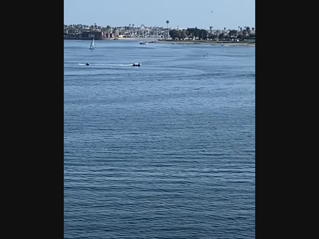 Неуправляемая лодка врезалась в парусник и потопила его.