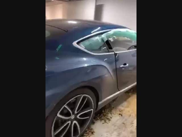 Веселый сосед