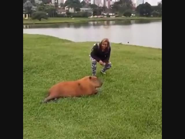 Пусть это будет уроком для тех, кто не уважает покой диких животных