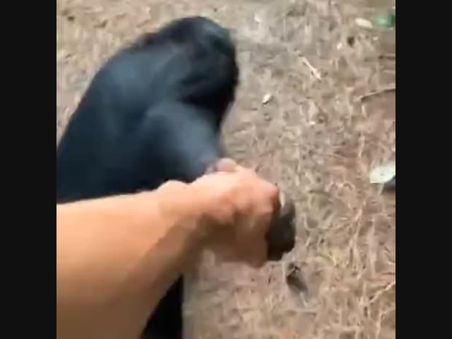 Помоги, друг!