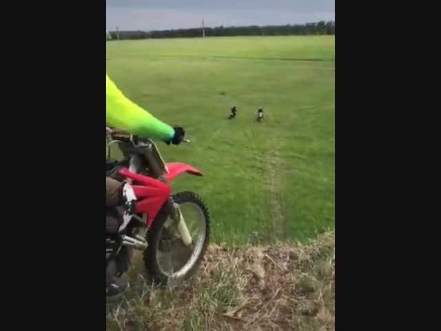 В чистом поле не разъехались