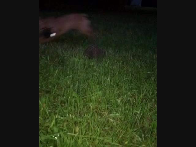 Хорошие новости