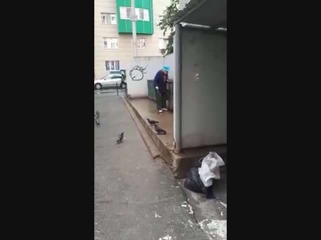 Бесславные власти: пенсионерка в медалях искала пропитание на мусорке в Воронеже