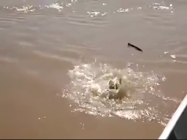 На чужой кусок не разевай роток!