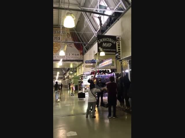 Спасение кошки