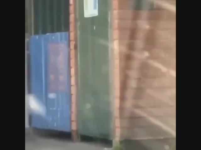 Люди – самые страшные животные!