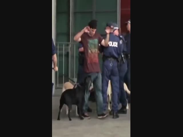 Хорошая шутка