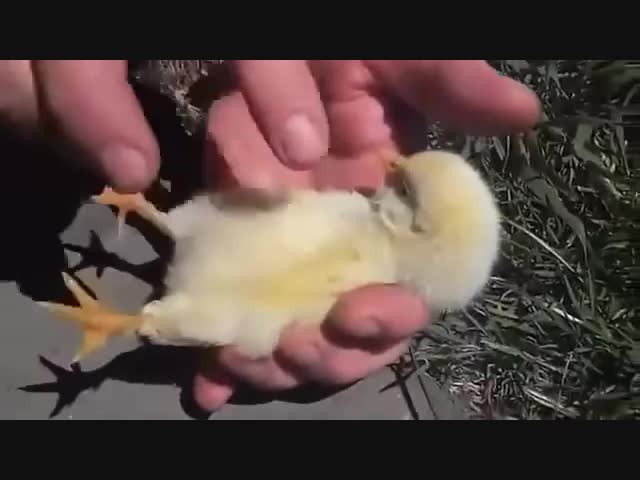 Колыбельная