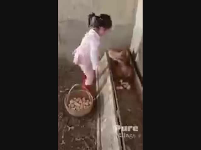 Когда дело налажено и не терпит отлагательств