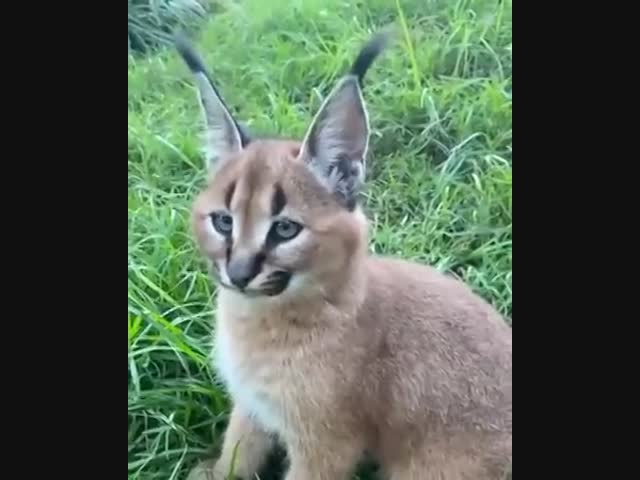 Вот это поворот!