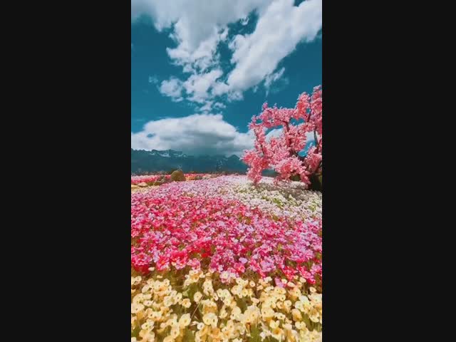 Похоже на рай