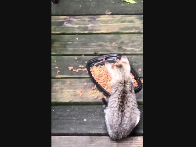 Лапы загребущие