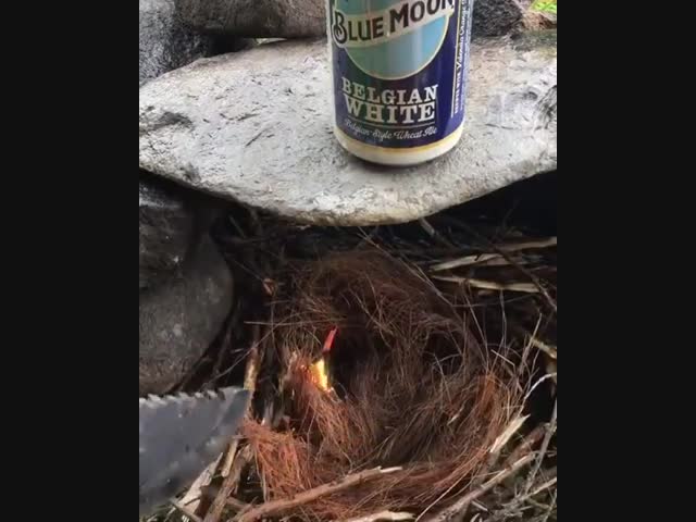 Душевно покушал