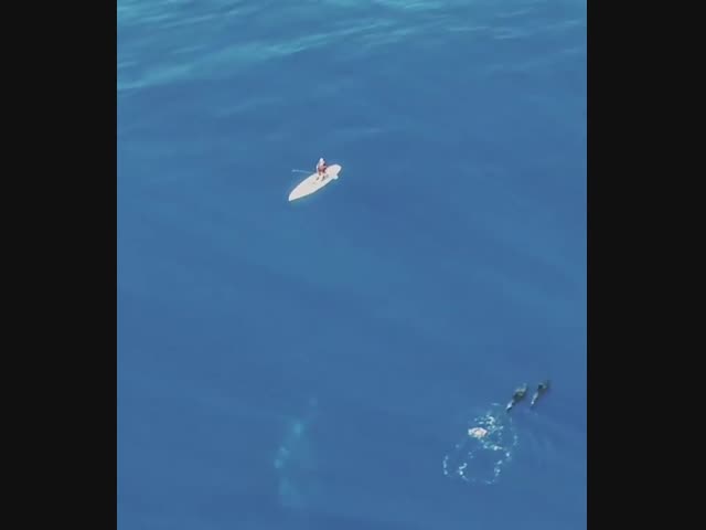 Извините, когда начинать нервничать?