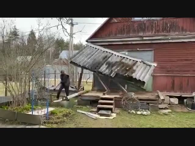 Месть старой дачи