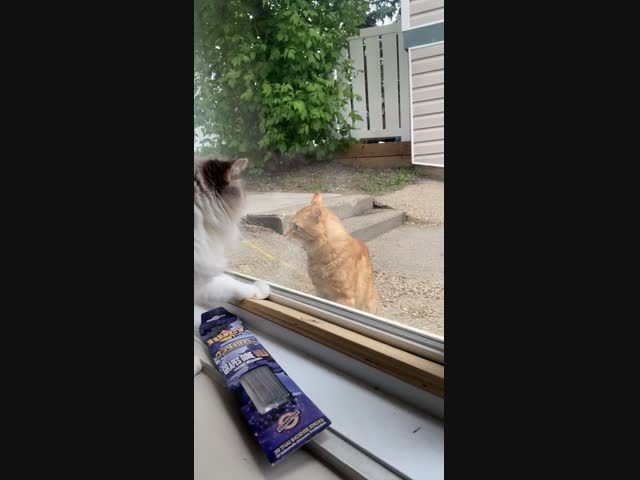 Понял, зря быканул