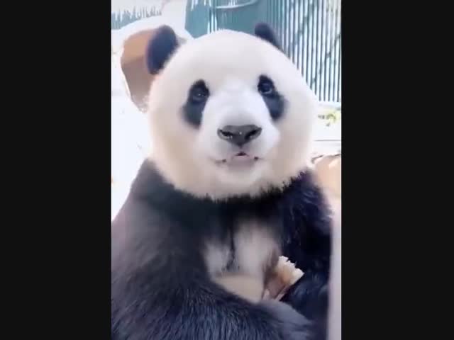 Это, наверное, очень вкусно