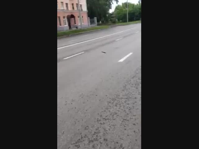 В страшном ДТП в центре Владимира погибли двое человек