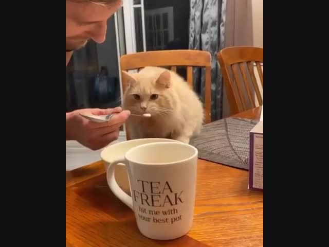 Впервые попробовал мороженое