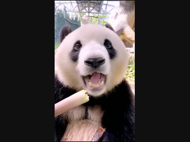 Приятного аппетита!