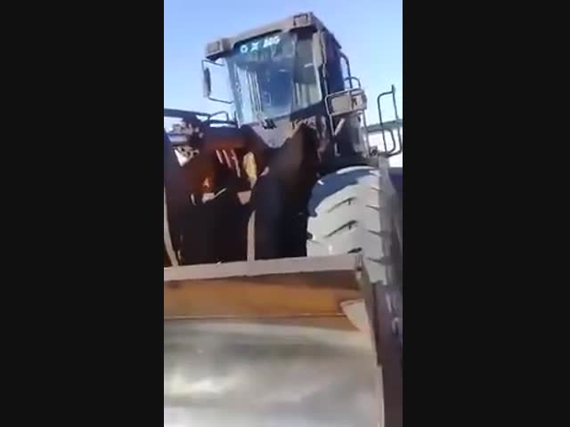 Каково это работать в пустыне Сахара летом