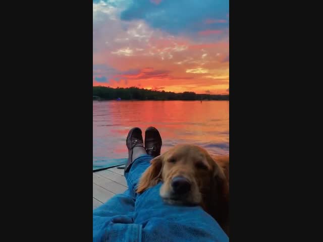 Максимально уютное и милое видео