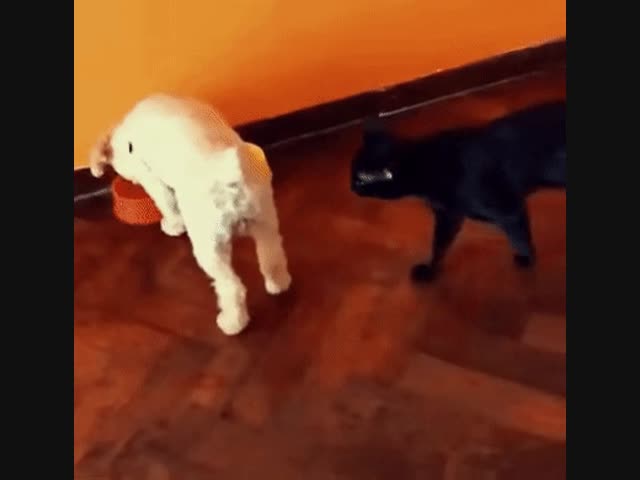 Вероломное нападение