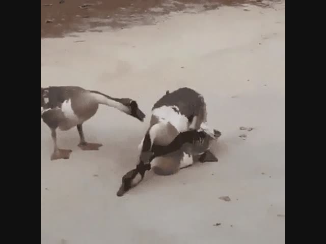 Где мои 17 лет?