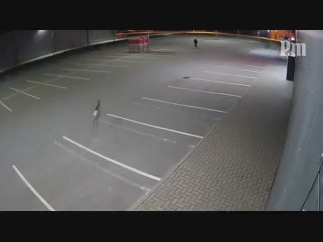 Косуля сбила велосипедиста