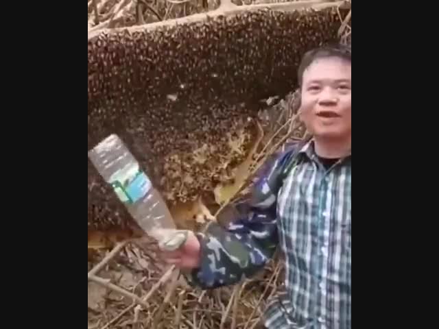Китаец против пчёл