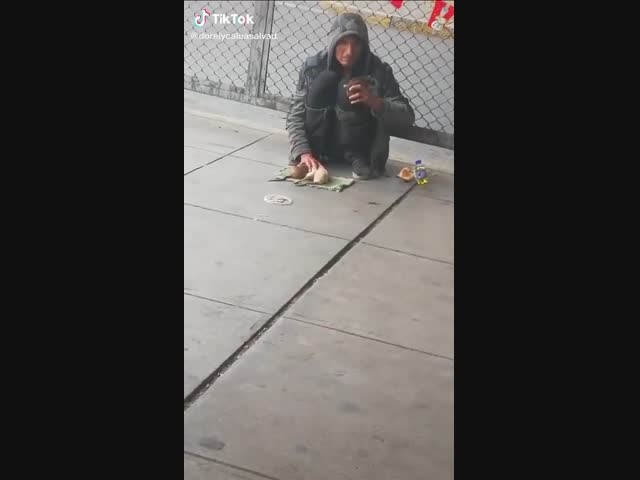 Дрессированные крысы