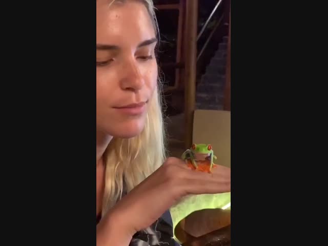 Симпатичная лягушечка