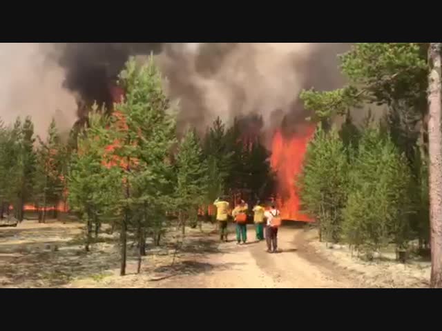 В Башкирии полыхают леса