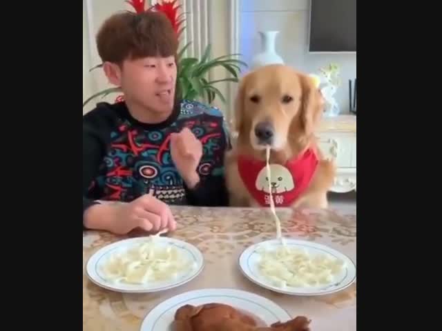 Любители спагетти