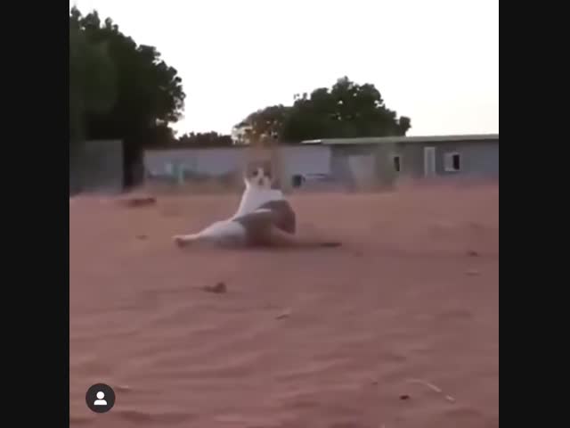 Что это было?