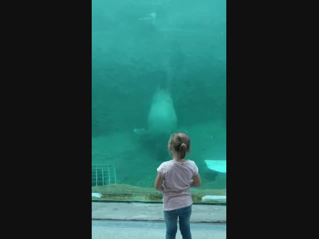 Прощальный поцелуй