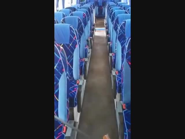 Вот такая армия в Израиле