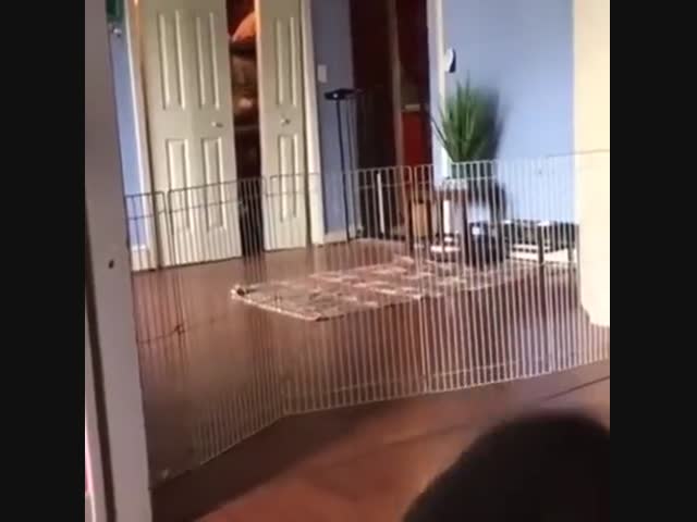 Непреодолимая преграда