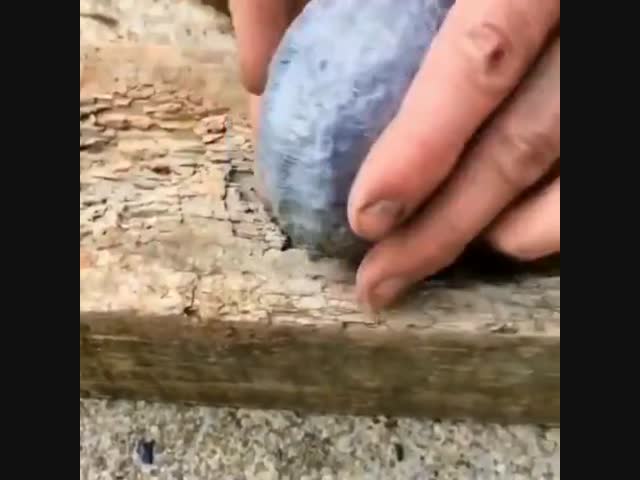 Что скрывает этот камень?