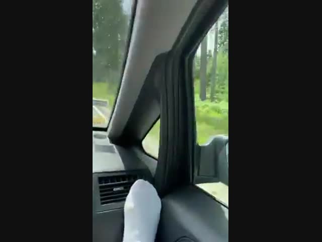 Мужик на дереве 