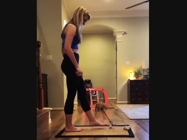 Гениальный вратарь