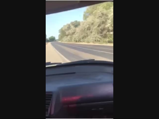 Насмотрелись на арабов