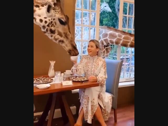 Чаепитие в хорошей компании