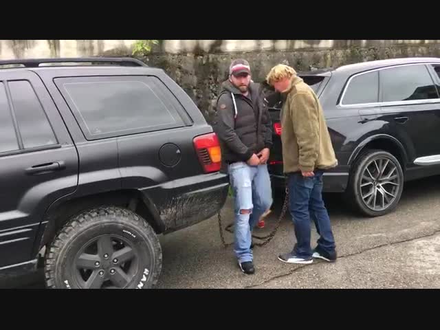 Кто сильнее?