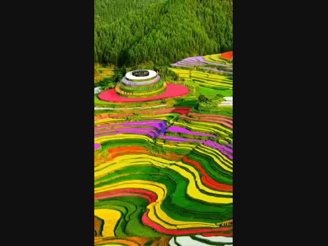 Как многообразна наша Земля