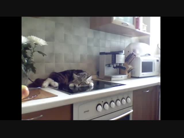 Обалденно поговорили!