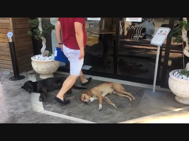 Жаркий полдень в Анталии