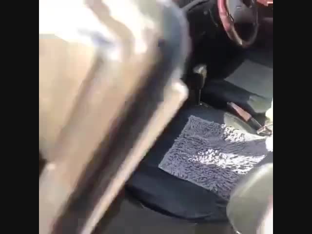 Девки ищут Степана